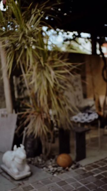 Découvrez notre collection de sacs uniques fabriqués à la main, venus d’Inde et dites nous dans les commentaires quel est votre modèle préféré. 🩶

(Le dernier modèle lui, il reste avec nous!)

#natureenergy #macazin #textileindien #handmade #artisanal #sacunique