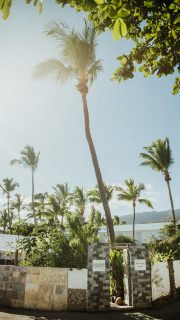 Bienvenue au MaCazin. 💚

#NatureEnergy